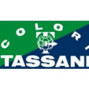 logo_tassani_fantasycolor online