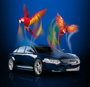 rivenditore glasurit olbia online